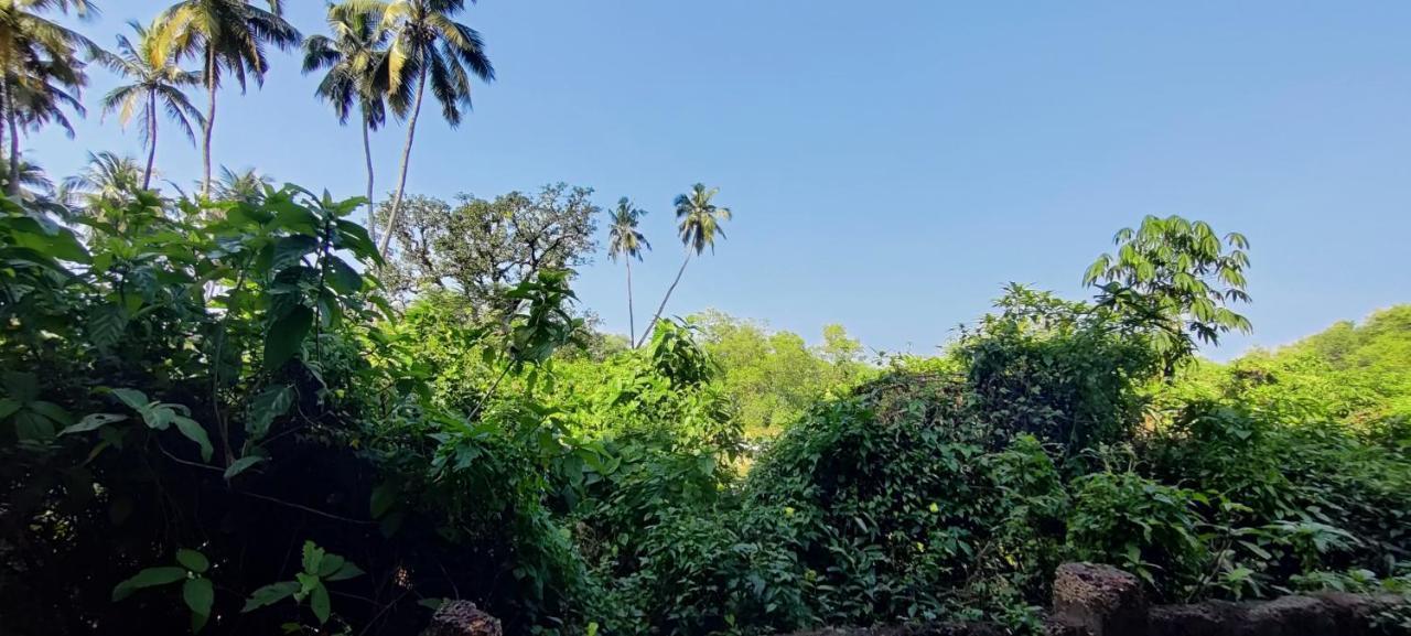 J-House, Spacious Apartments With Balconies, Thalassa 1Min Away Siolim Eksteriør billede